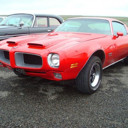 crop-29.08.2009_083__large_