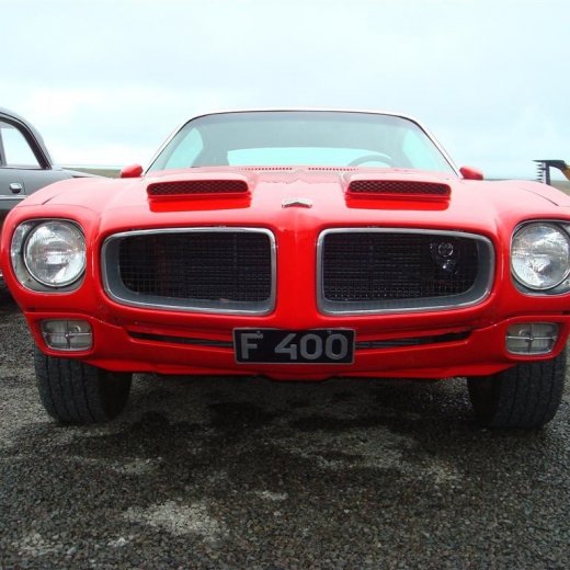 crop-29.08.2009_084__large_