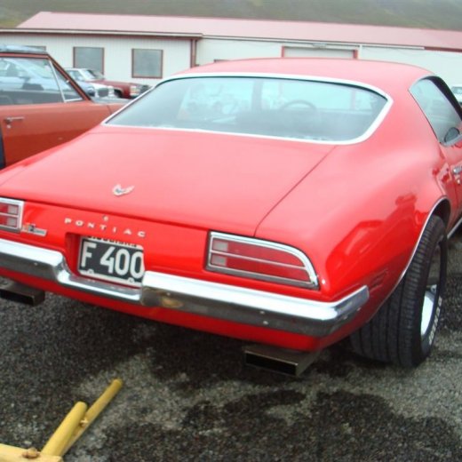 crop-29.08.2009_086__large_