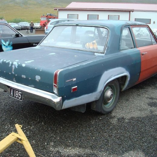 crop-29.08.2009_088__large_