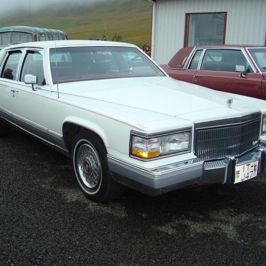 crop-29.08.2009_091__large_