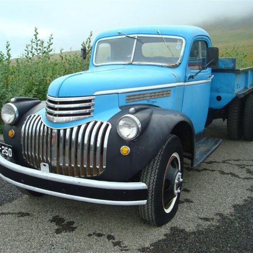 crop-29.08.2009_092__large_