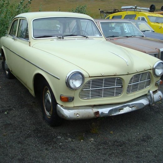 crop-29.08.2009_102__large_