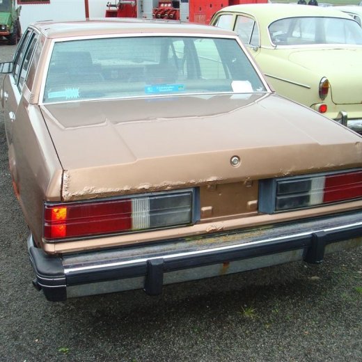 crop-29.08.2009_104__large_