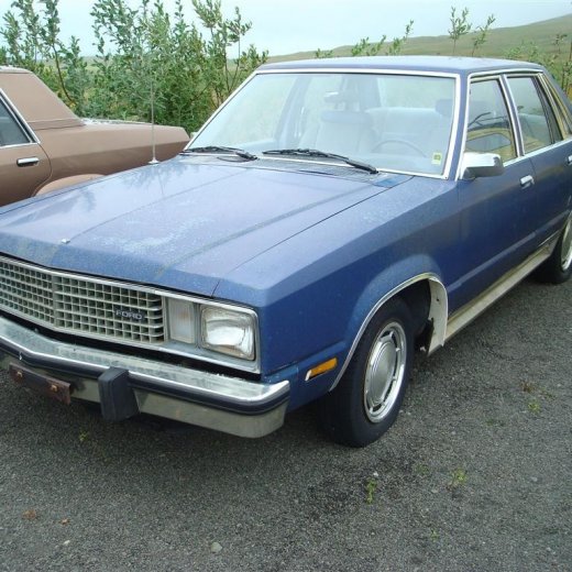 crop-29.08.2009_105__large_