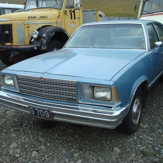 crop-29.08.2009_115__large_