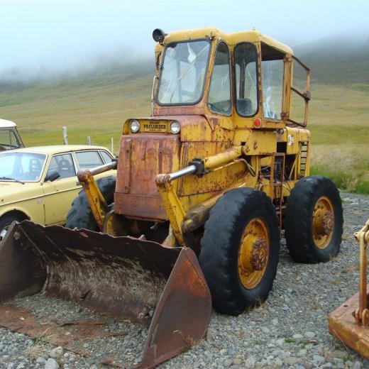 crop-29.08.2009_128__large_