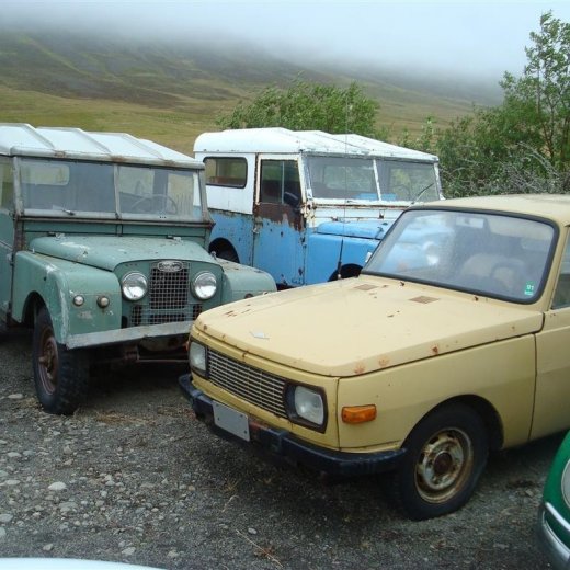 crop-29.08.2009_137__large_