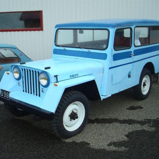 crop-29.08.2009_180__large_