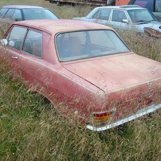 crop-29.08.2009_198__large_