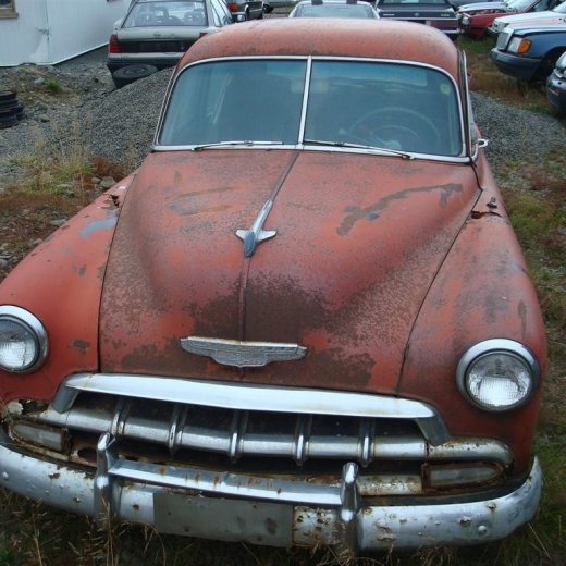 crop-29.08.2009_204__large_