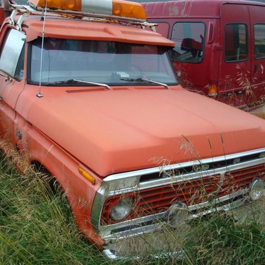 crop-29.08.2009_206__large_