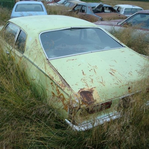 crop-29.08.2009_208__large_