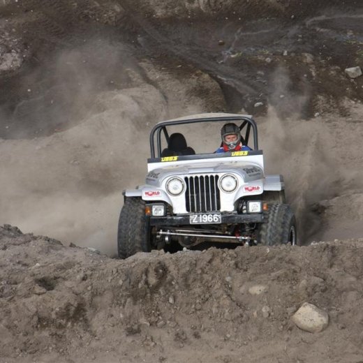 crop-30.mai.2009binnischi_th_693__large_