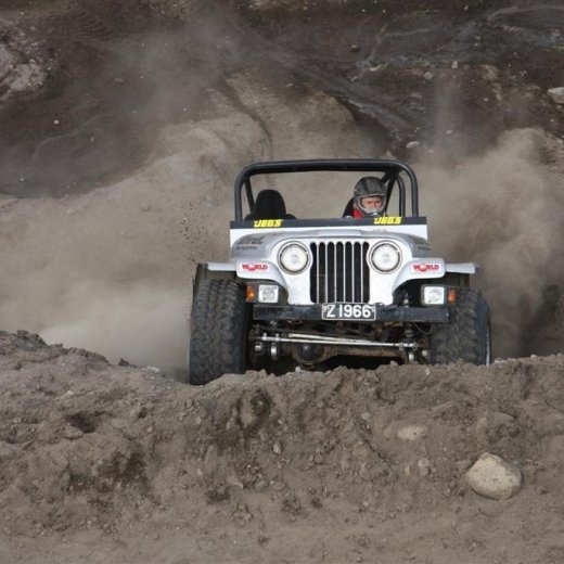 crop-30.mai.2009binnischi_th_695__large_