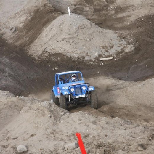 crop-30.mai.2009binnischi_th_710__large_