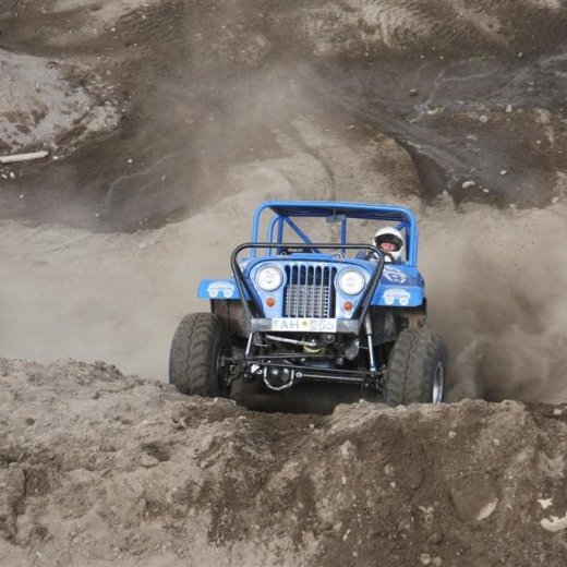 crop-30.mai.2009binnischi_th_715__large_