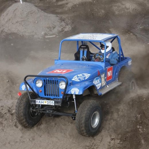 crop-30.mai.2009binnischi_th_720__large_