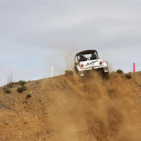 crop-30.mai.2009binnischi_th_035__large_