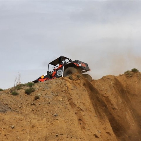 crop-30.mai.2009binnischi_th_070__large_