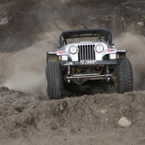 crop-30.mai.2009binnischi_th_698__large_