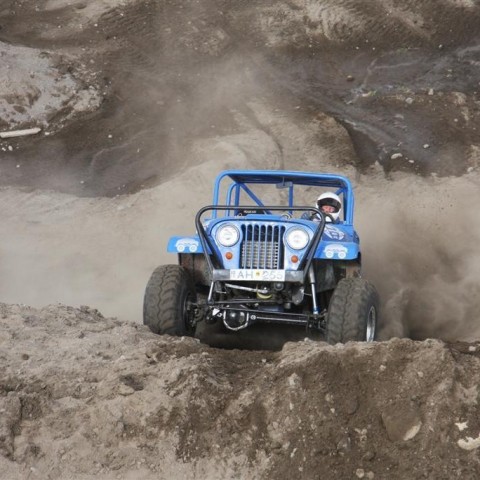 crop-30.mai.2009binnischi_th_715__large_