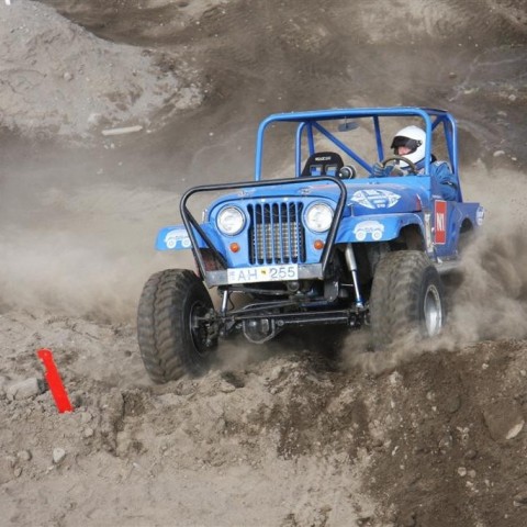 crop-30.mai.2009binnischi_th_718__large_