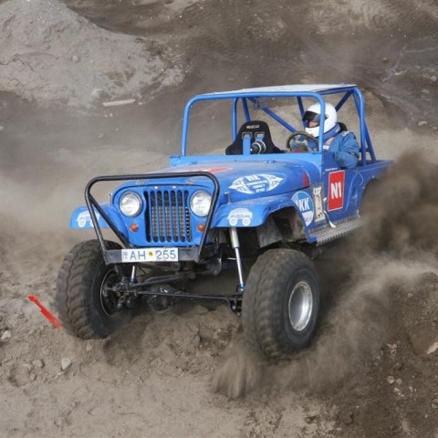 crop-30.mai.2009binnischi_th_719__large_