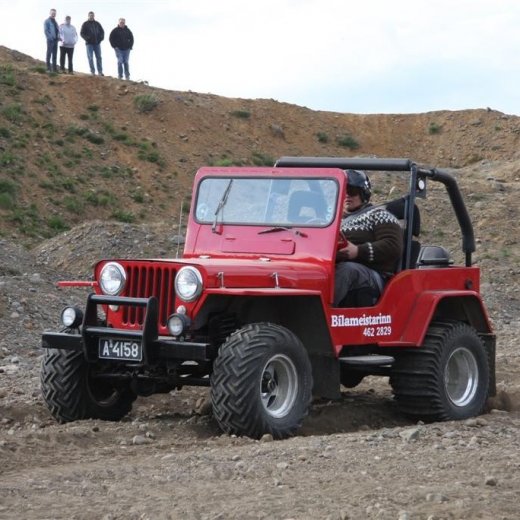 crop-30.mai.2009binnischi_thpart2_417__large_