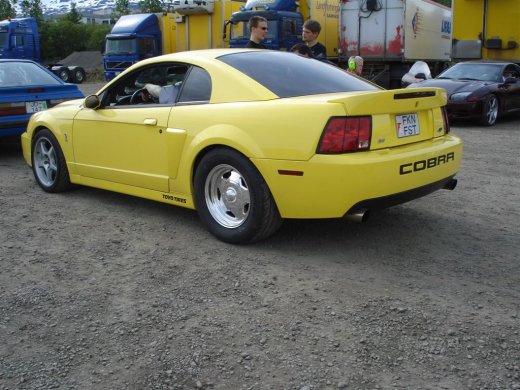 20.06.2009_003__large_