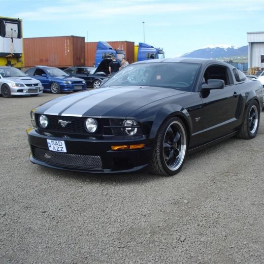 crop-20.06.2009_005__large_