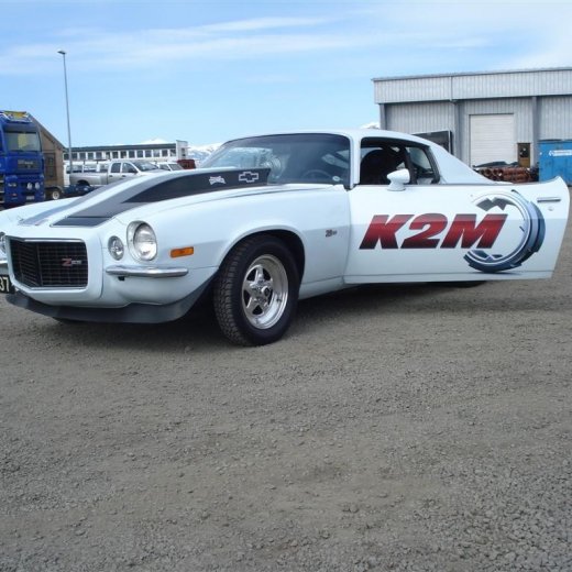 crop-20.06.2009_006__large_