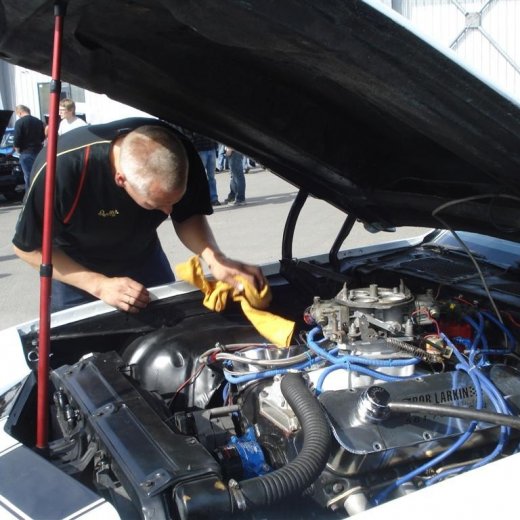 crop-20.06.2009_017__large_