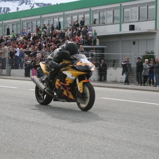 crop-gata09_016__large_