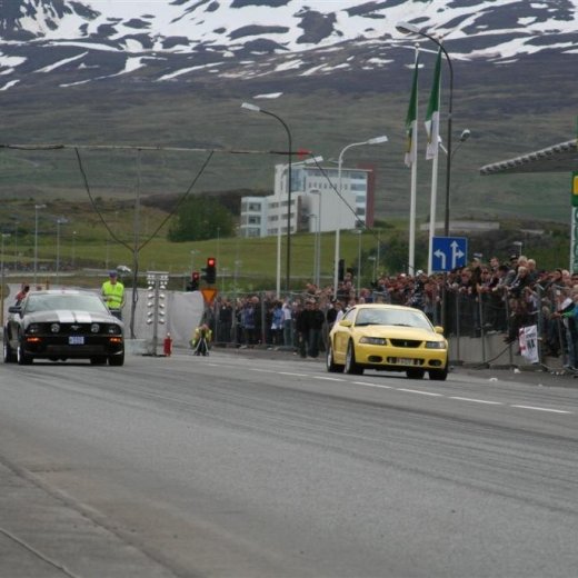 crop-gata09_080__large_