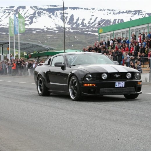 crop-gata09_129__large_