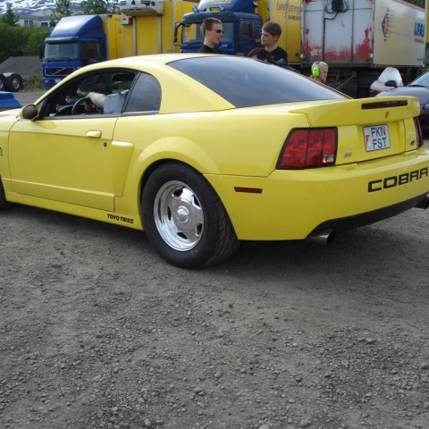 crop-20.06.2009_003__large_