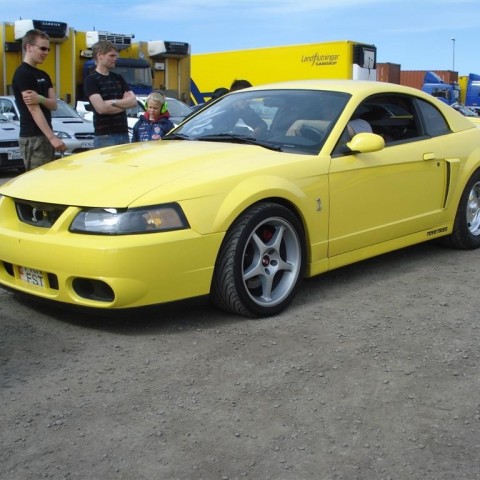 crop-20.06.2009_004__large_