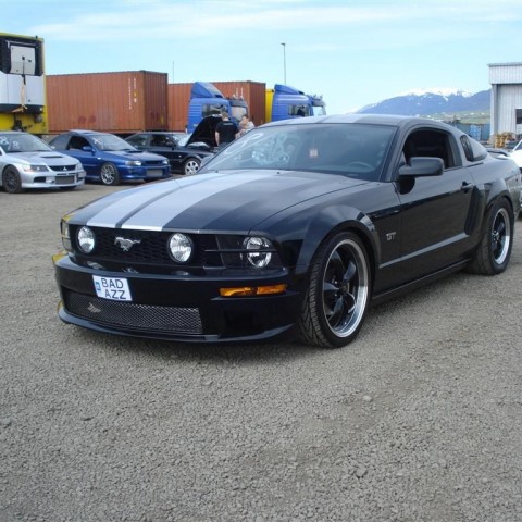 crop-20.06.2009_005__large_