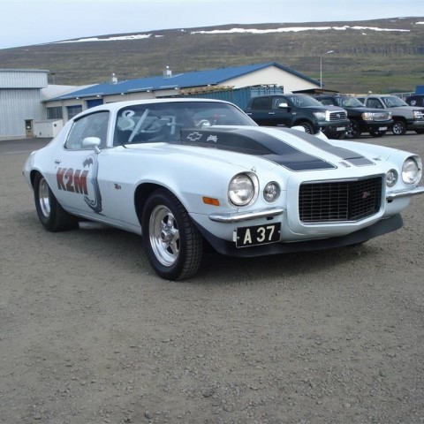 crop-20.06.2009_007__large_