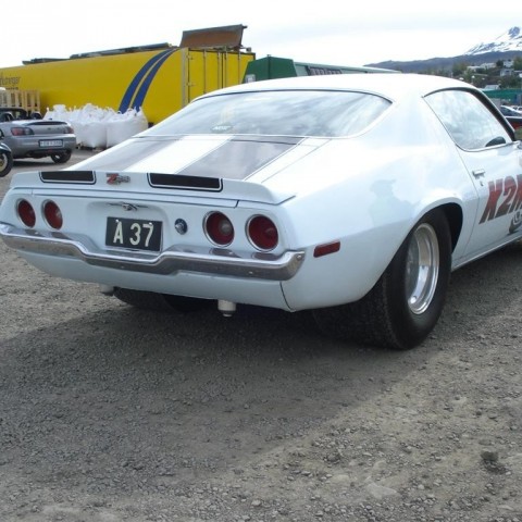 crop-20.06.2009_008__large_