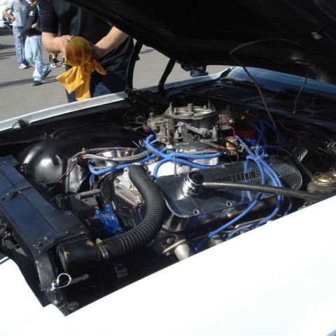 crop-20.06.2009_016__large_