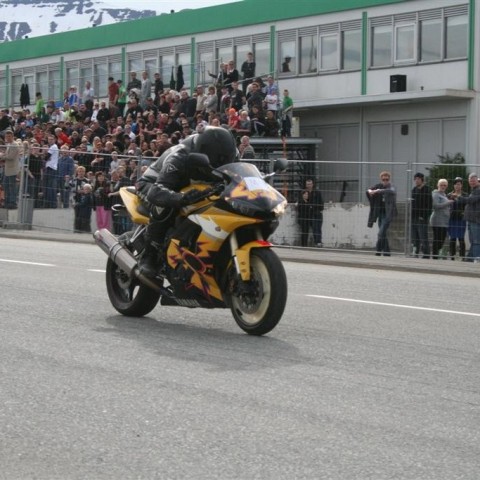 crop-gata09_016__large_