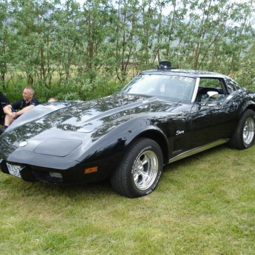 crop-4.07.2009_006__large_