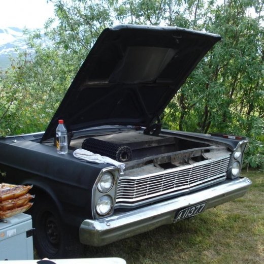 crop-4.07.2009_015__large_