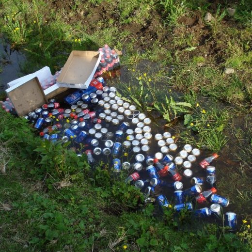 crop-4.07.2009_017__large_