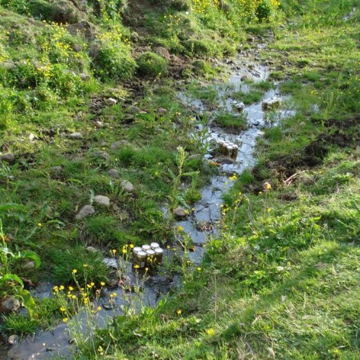 crop-4.07.2009_018__large_