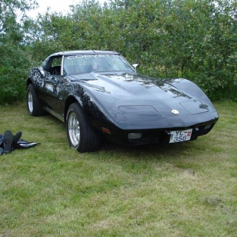 crop-4.07.2009_004__large_