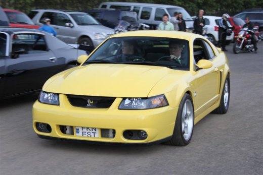 2010_b_ladagar_317__large_