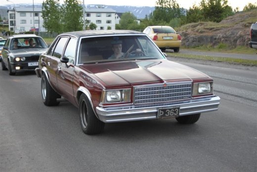 2010_b_ladagar_350__large_